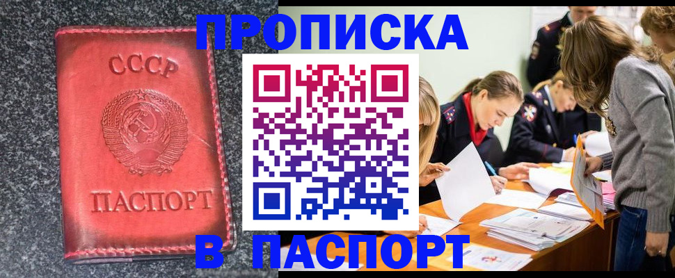 прописка для школы в Дедовске